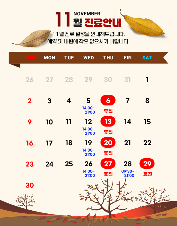 11월 진료일정